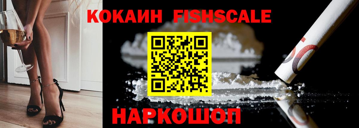 Ефремов  наркота  Вход с VPN  COCAIN FishScale 