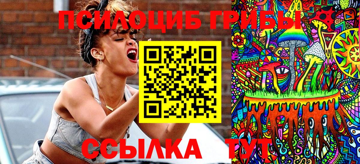 Ефремов  цены   Вход с VPN  Псилоцибиновые грибы прущие грибы 